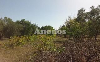 Οικόπεδο 11.000 τ.μ. προς ενοικίαση, Κέντρο Σταμάτας-thumb-17