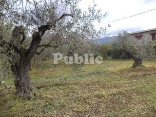 Οικόπεδο 824 τ.μ. για πώληση, Φθιώτιδας, Στυλίδα-thumb-1