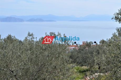 Αγροτεμάχια 4.000 τ.μ. για πώληση