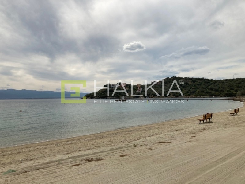 Οικόπεδο 627 τ.μ. πρός πώληση, Μαγνησία, Νέα Αγχίαλος