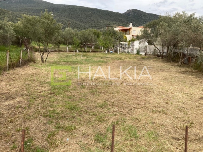 Οικόπεδο 627 τ.μ. πρός πώληση, Μαγνησία, Νέα Αγχίαλος
