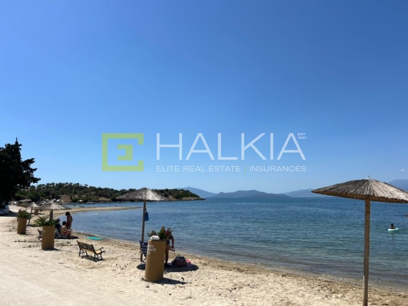 Οικόπεδο 627 τ.μ. πρός πώληση, Μαγνησία, Νέα Αγχίαλος
