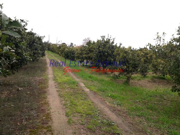 Οικόπεδο 1.000 τ.μ. για πώληση, Αχαΐα, Αίγιο