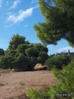 Οικόπεδο 12.500τ.μ. για πώληση-Καλύβια θορικού » Λαγονήσι