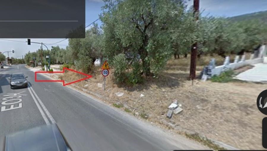 Οικόπεδο 640 τ.μ. πρός πώληση, Μαγνησία, Μηλιές