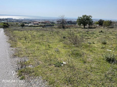 Αγροτεμάχια 4.200τ.μ. για πώληση-Πανόραμα » Κέντρο