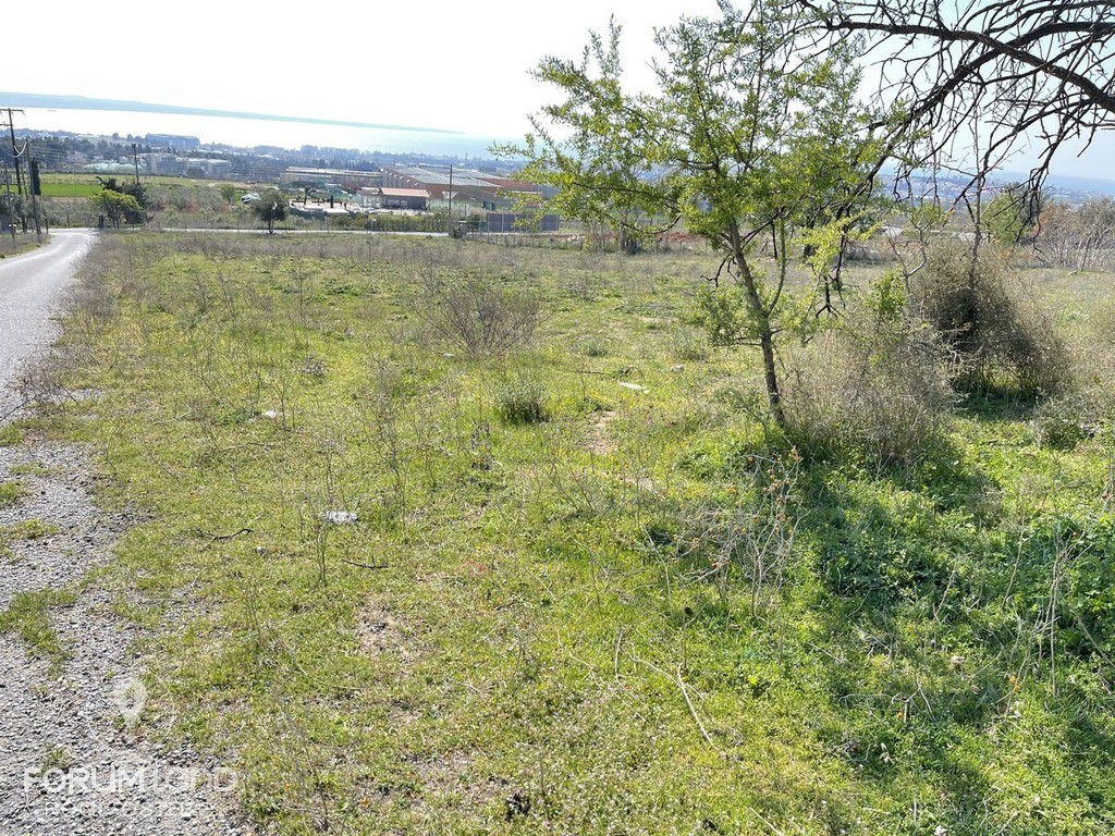 Αγροτεμάχια 4.200 τ.μ. προς πώληση, Κέντρο Πανοράματος