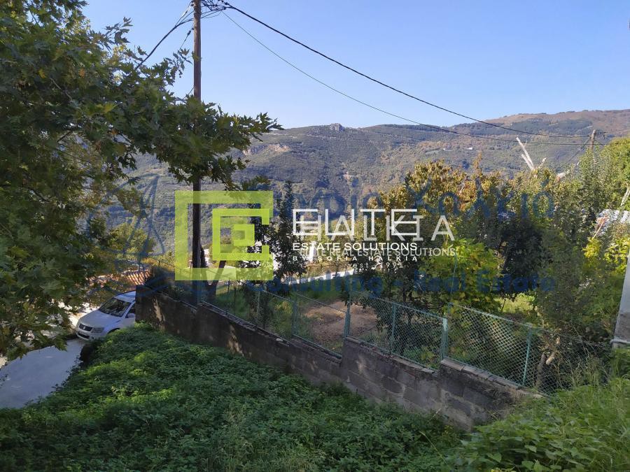 Μονοκατοικία 43 τ.μ. πρός πώληση, Μαγνησία, Αρτέμιδα