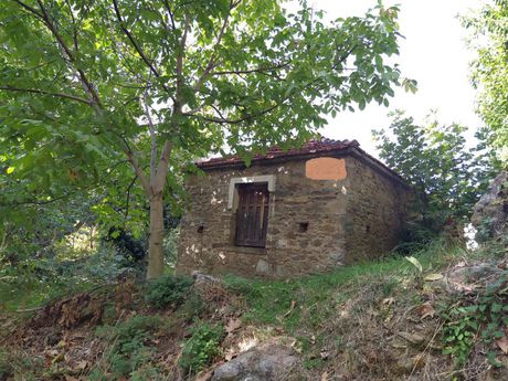 Μονοκατοικία 43τ.μ. για πώληση-Αρτέμιδα » Άγιος λαυρέντιος