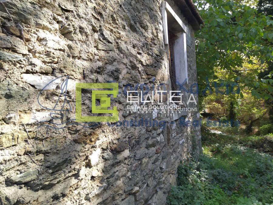 Μονοκατοικία 43 τ.μ. πρός πώληση, Μαγνησία, Αρτέμιδα