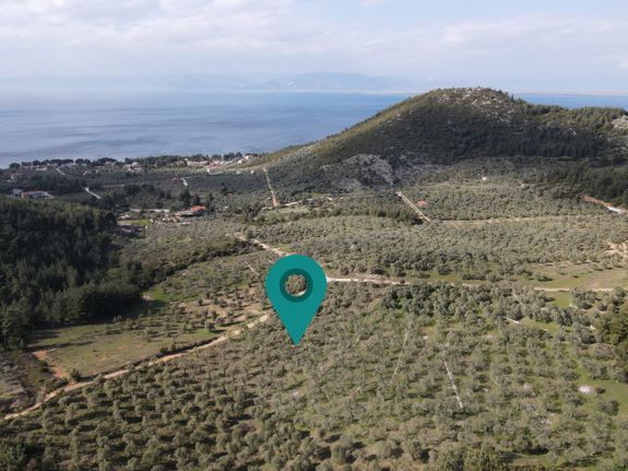 Parcel 3.371 sqm for sale, Kavala Prefecture, Thasos