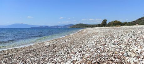 Αγροτεμάχια 3.381τ.μ. για πώληση-Ασίνη » Κάντια