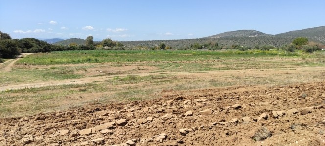 Αγροτεμάχια 3.381 τ.μ. προς πώληση, Κάντια
