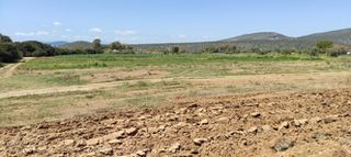 Αγροτεμάχια 3.381 τ.μ. για πώληση, Αργολίδα, Ασίνη-thumb-4