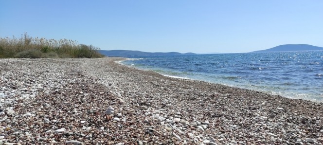 Αγροτεμάχια 3.381 τ.μ. προς πώληση, Κάντια