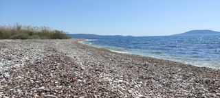 Αγροτεμάχια 3.381 τ.μ. για πώληση, Αργολίδα, Ασίνη-thumb-1
