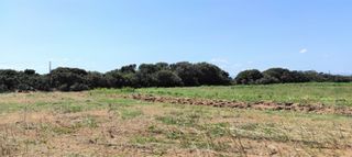 Αγροτεμάχια 3.381 τ.μ. για πώληση, Αργολίδα, Ασίνη-thumb-3