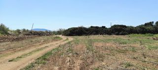 Αγροτεμάχια 3.381 τ.μ. για πώληση, Αργολίδα, Ασίνη-thumb-2