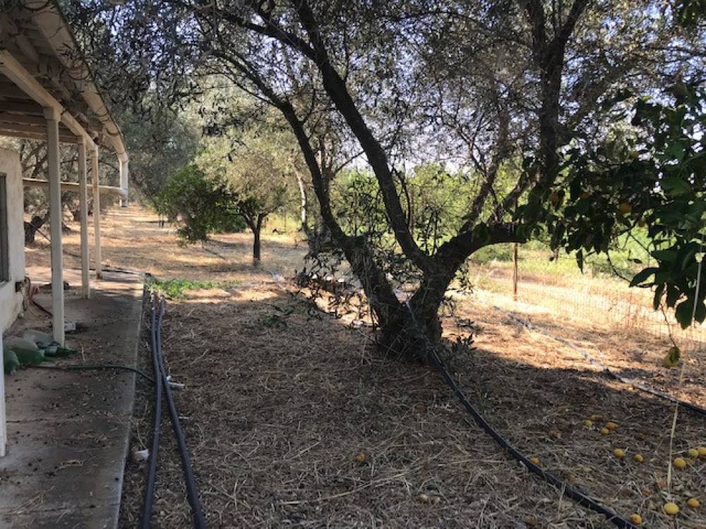 Μονοκατοικία 96 τ.μ. πρός πώληση, Κορινθία, Σικυώνα