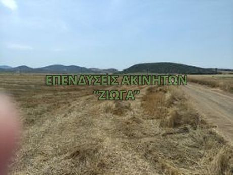 Parcel 160.000sqm for rent-Feron