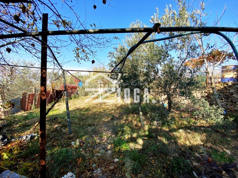 Αγροτεμάχια 4.100 τ.μ. προς πώληση, Νέα Δημητριάδα