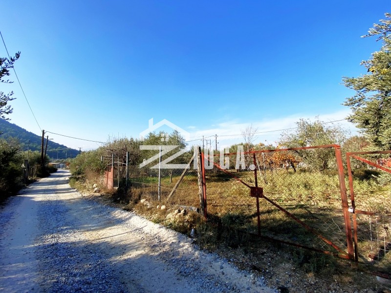 Αγροτεμάχια 4.100 τ.μ. προς πώληση, Νέα Δημητριάδα