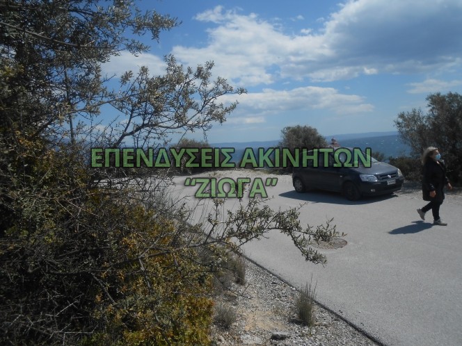 Οικόπεδο 1.200 τ.μ. πρός πώληση, Μαγνησία, Βόλος