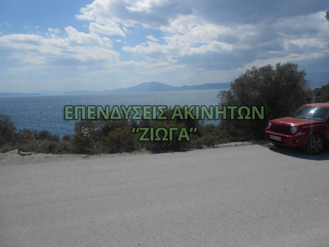 Οικόπεδο 1.200 τ.μ. πρός πώληση, Μαγνησία, Βόλος