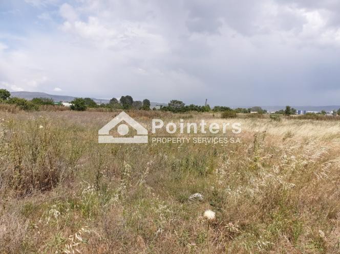Αγροτεμάχια 34.000 τ.μ. πρός πώληση, Θεσσαλονίκη - Περιφ/Κοί Δήμοι, Εχέδωρος