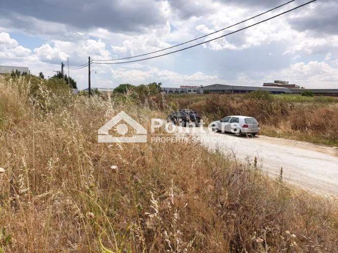 Αγροτεμάχια 34.000 τ.μ. πρός πώληση, Θεσσαλονίκη - Περιφ/Κοί Δήμοι, Εχέδωρος