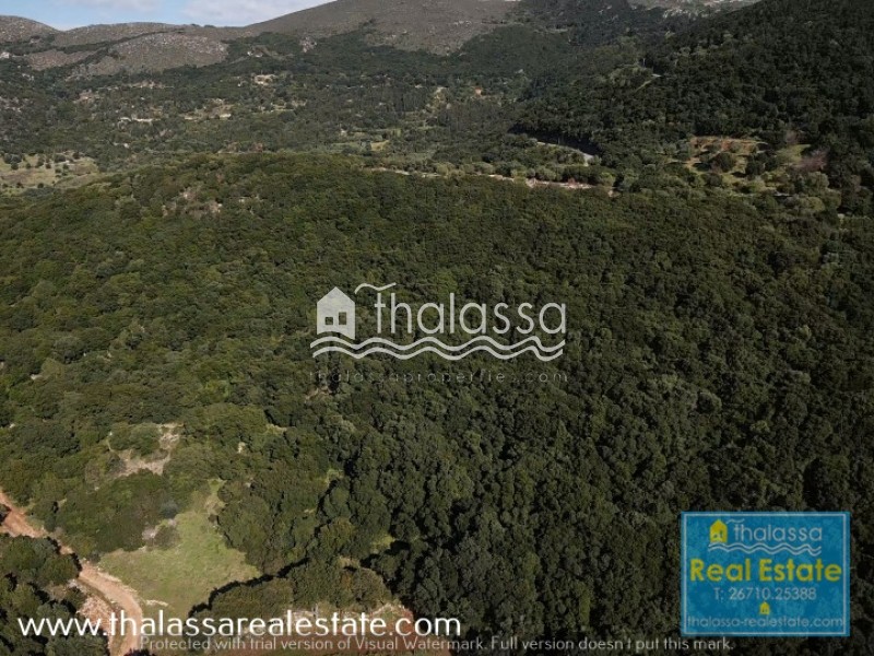 Οικόπεδο 4.000 τ.μ. πρός πώληση, Ν. Κεφαλονιάς, Κεφαλονιά