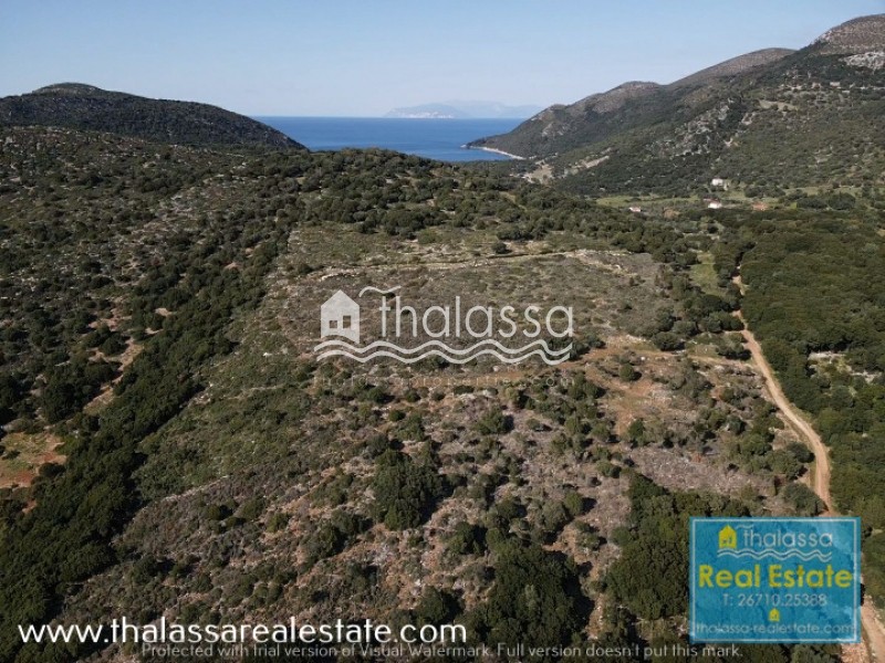 Οικόπεδο 4.000 τ.μ. πρός πώληση, Ν. Κεφαλονιάς, Κεφαλονιά