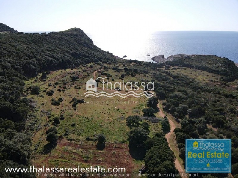 Οικόπεδο 4.000 τ.μ. πρός πώληση, Ν. Κεφαλονιάς, Κεφαλονιά