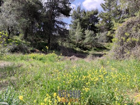 Land plot 1.100sqm for sale-Agios Stefanos » Nimfon