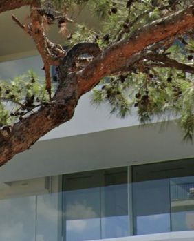 Μονοκατοικία 520 τ.μ. για ενοικίαση