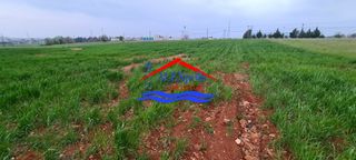 Αγροτεμάχια 4.554 τ.μ. για ενοικίαση, Εβρος, Αλεξανδρούπολη-thumb-24