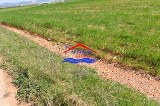 Αγροτεμάχια 4.554 τ.μ. για ενοικίαση, Εβρος, Αλεξανδρούπολη-thumb-10