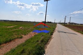 Αγροτεμάχια 4.554 τ.μ. για ενοικίαση, Εβρος, Αλεξανδρούπολη-thumb-5