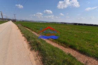 Αγροτεμάχια 4.554 τ.μ. για ενοικίαση, Εβρος, Αλεξανδρούπολη-thumb-9