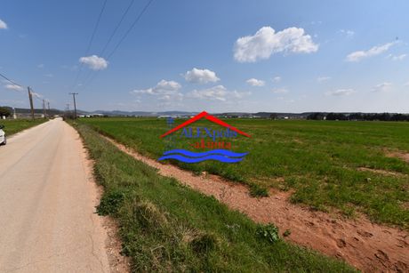 Αγροτεμάχια 12.600 τ.μ. για ενοικίαση