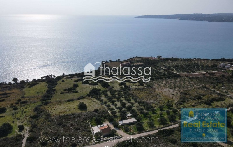 Οικόπεδο 14.000 τ.μ. προς πώληση, Λειβαθώ