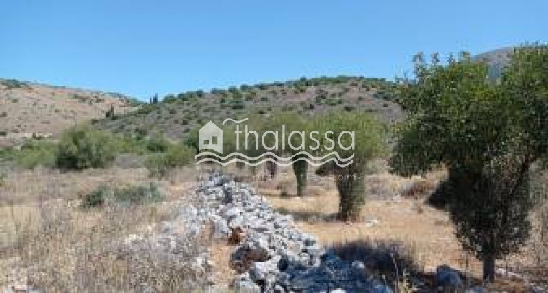 Οικόπεδο 6.500 τ.μ. προς πώληση, Αργοστόλι