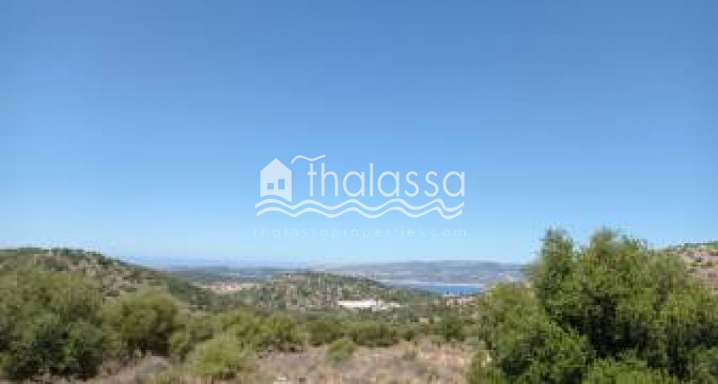 Οικόπεδο 6.500 τ.μ. προς πώληση, Αργοστόλι