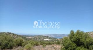 Οικόπεδο 6.500 τ.μ. για πώληση
