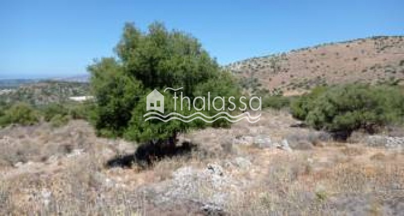 Οικόπεδο 6.500 τ.μ. προς πώληση, Αργοστόλι