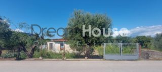 Οικόπεδο 5.800 τ.μ. για πώληση, Αχαΐα, Παραλία-thumb-9