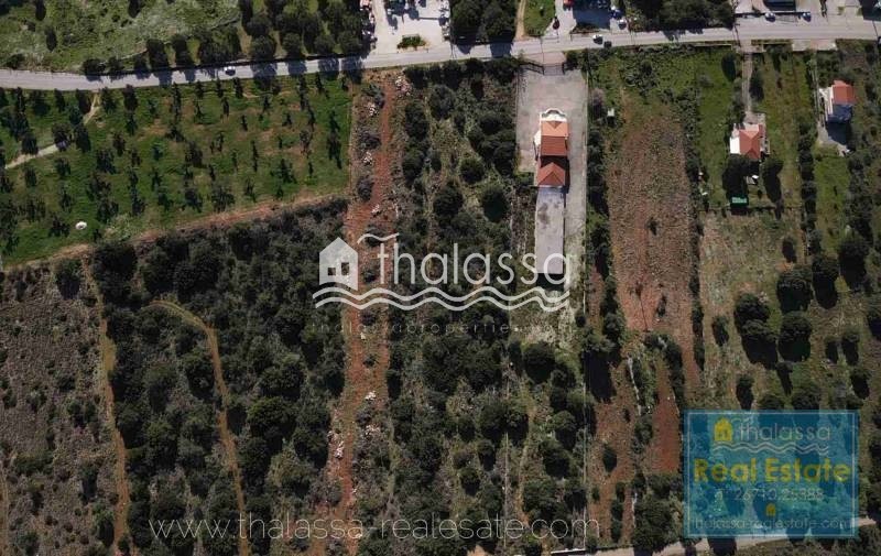 Οικόπεδο 6.000 τ.μ. πρός πώληση, Ν. Κεφαλονιάς, Κεφαλονιά