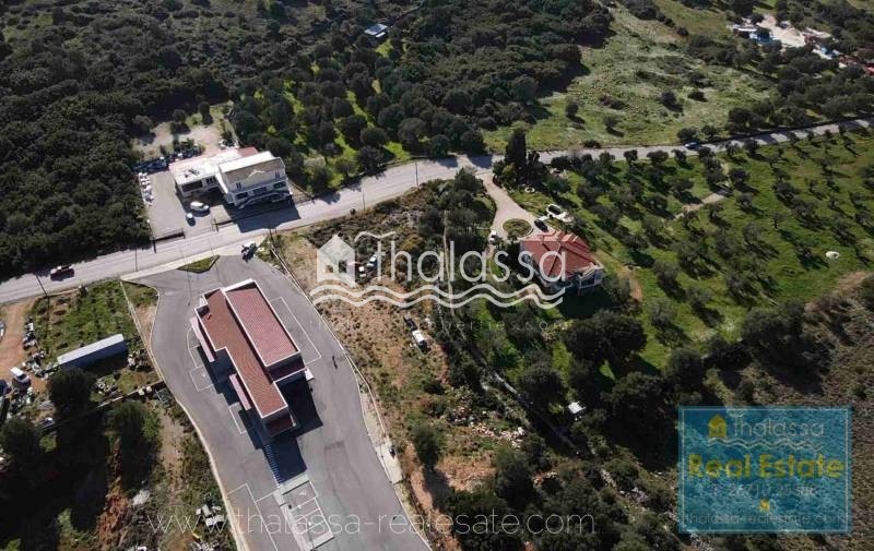 Οικόπεδο 6.000 τ.μ. πρός πώληση, Ν. Κεφαλονιάς, Κεφαλονιά