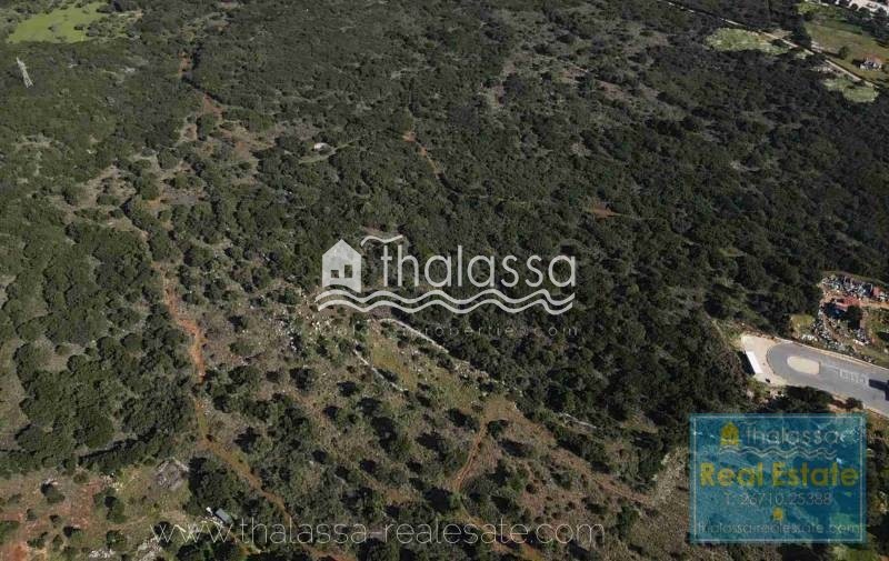Οικόπεδο 6.000 τ.μ. πρός πώληση, Ν. Κεφαλονιάς, Κεφαλονιά