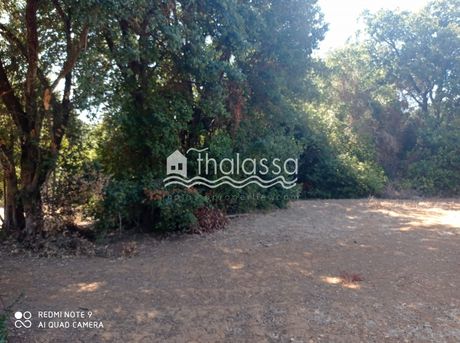 Οικόπεδο 2.000 τ.μ. για πώληση